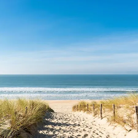 Marine - Studio Pour 6 Personnes 15 * Arcachon